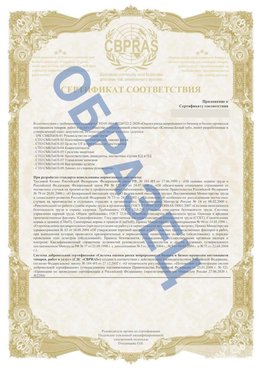 Образец Приложение к СТО 01.064.00220722.2-2020 Минусинск Сертификат СТО 01.064.00220722.2-2020 